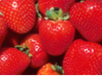 strawberries, red, cone shaped